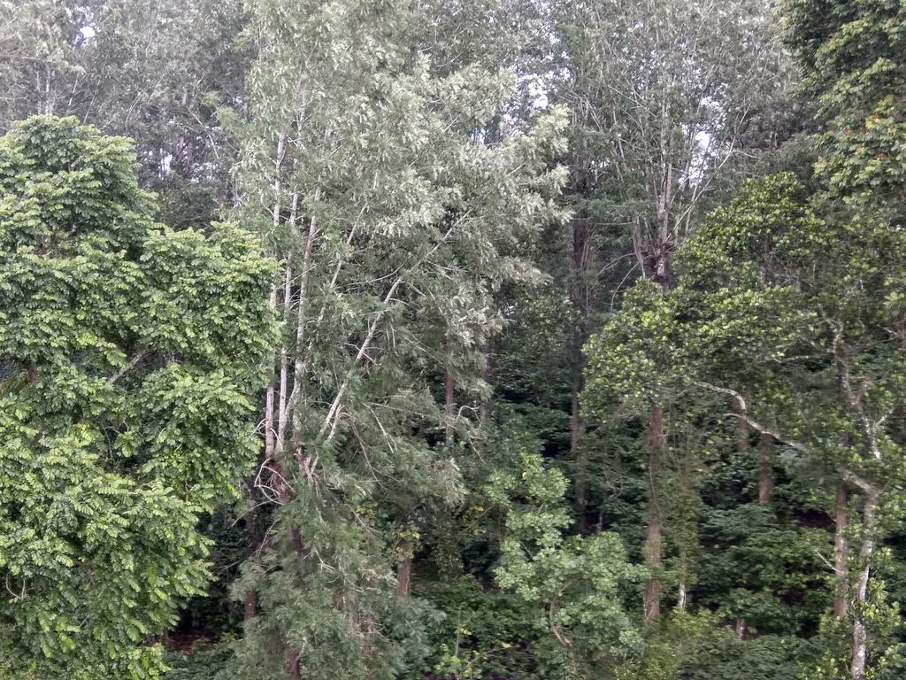 Aditi Thekkady Exterior foto